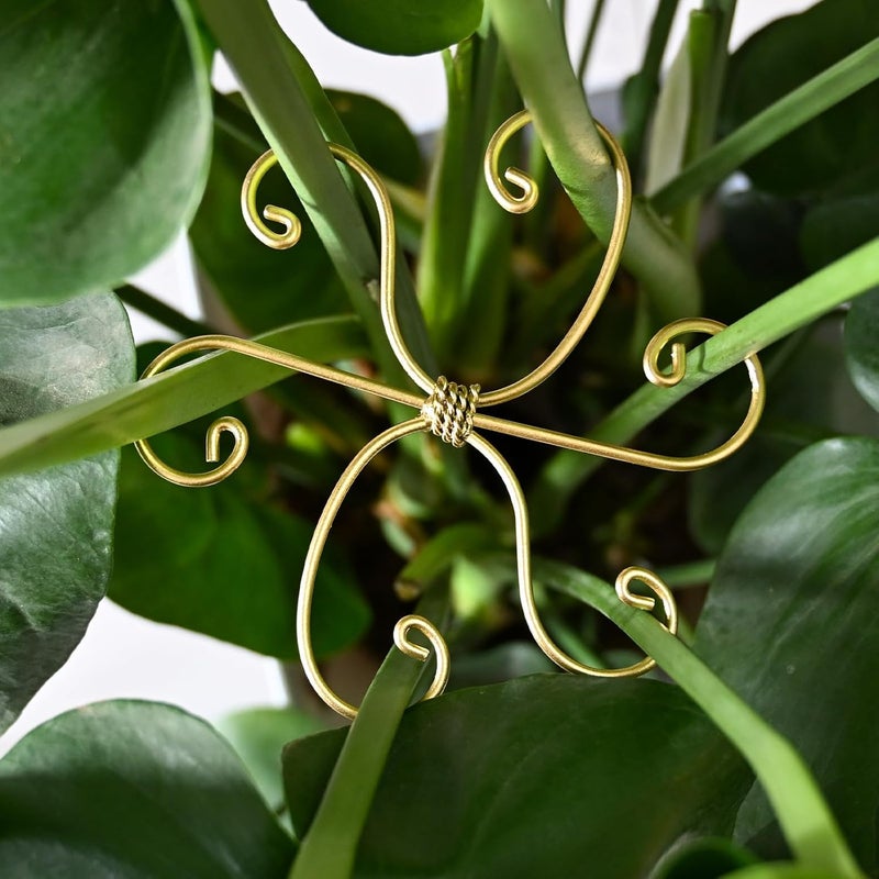 Goooxim 5PCS Monstera Plant Stem Support Stakes - 5.5 * 5.5IN Metal Supports for Monstera and Fishbone Cactus, Sturdy Frame, Easy Installation, Flexible Protection for Healthy Growth Indoors - Image 1